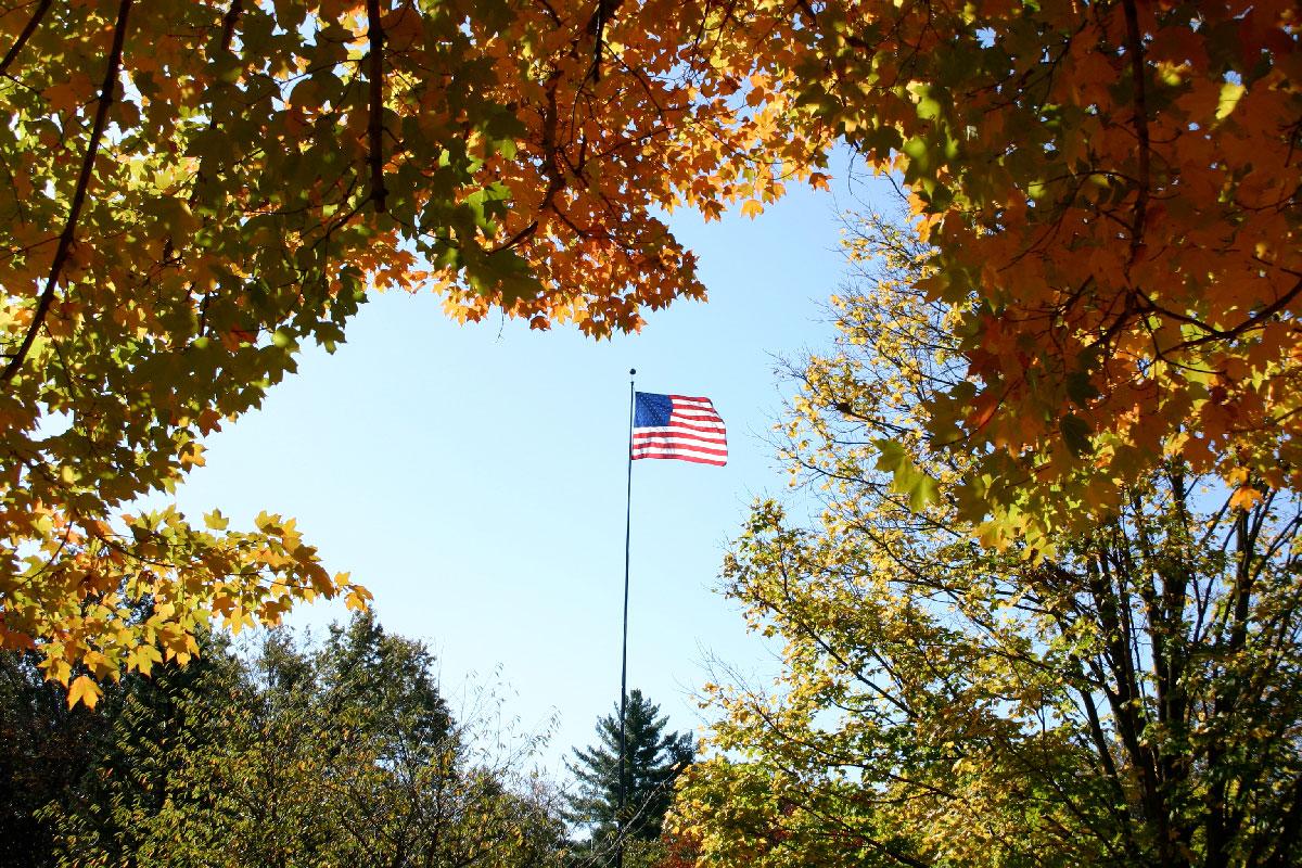 View of flag surrounded by fall trees